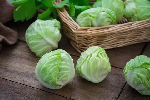 تصویر 4 از فروش کلم سفید ارومیه + قیمت خرید به صرفه
